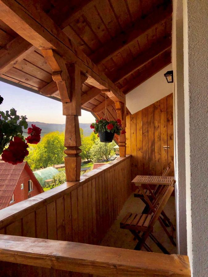 Pensiunea Roca Maramures Desze Kültér fotó