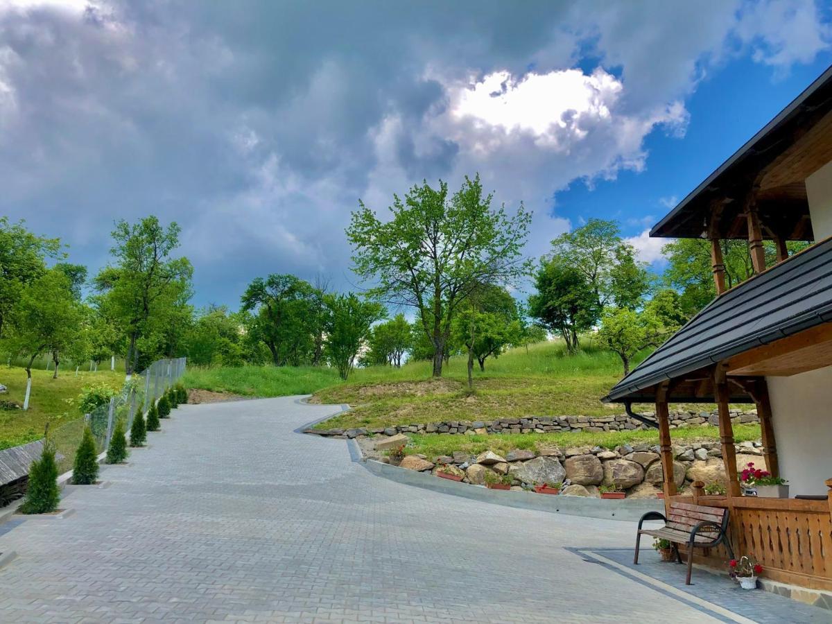 Pensiunea Roca Maramures Desze Kültér fotó