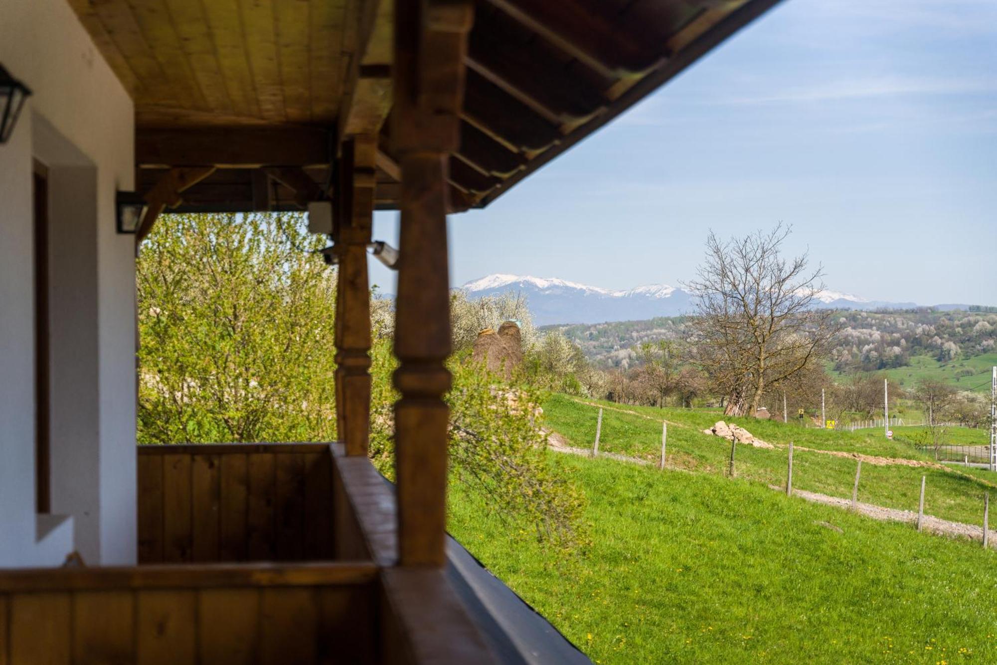 Pensiunea Roca Maramures Desze Kültér fotó