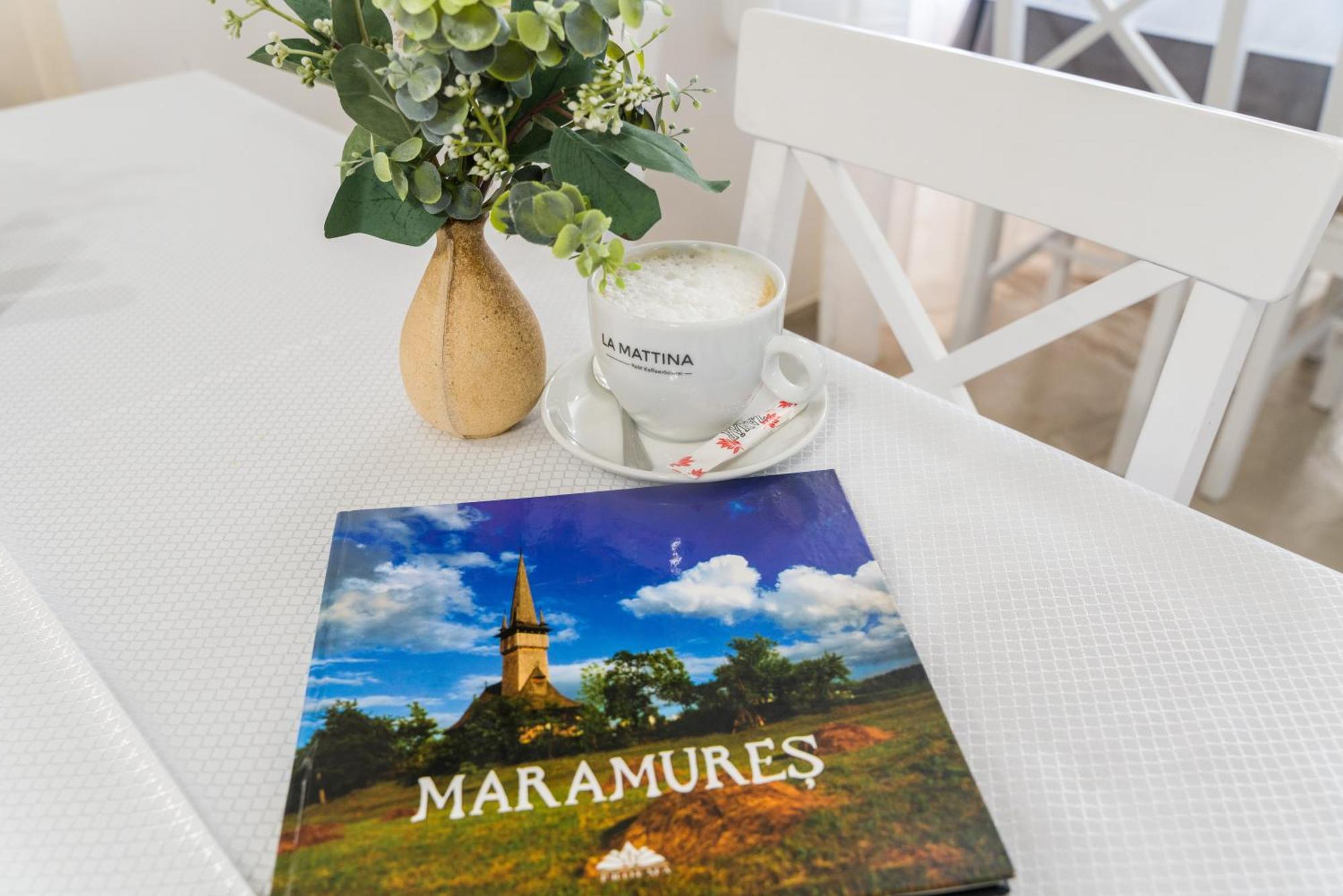 Pensiunea Roca Maramures Desze Kültér fotó